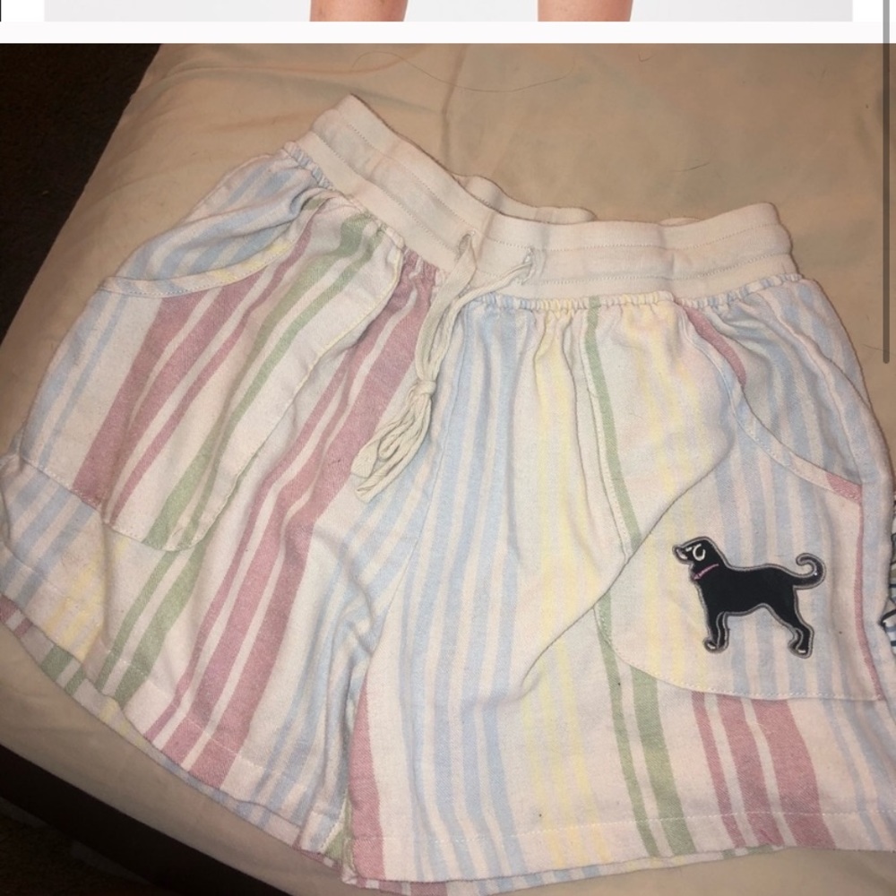 Black dog shorts